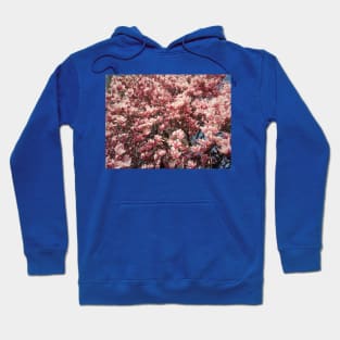 magnolia flowers Hoodie